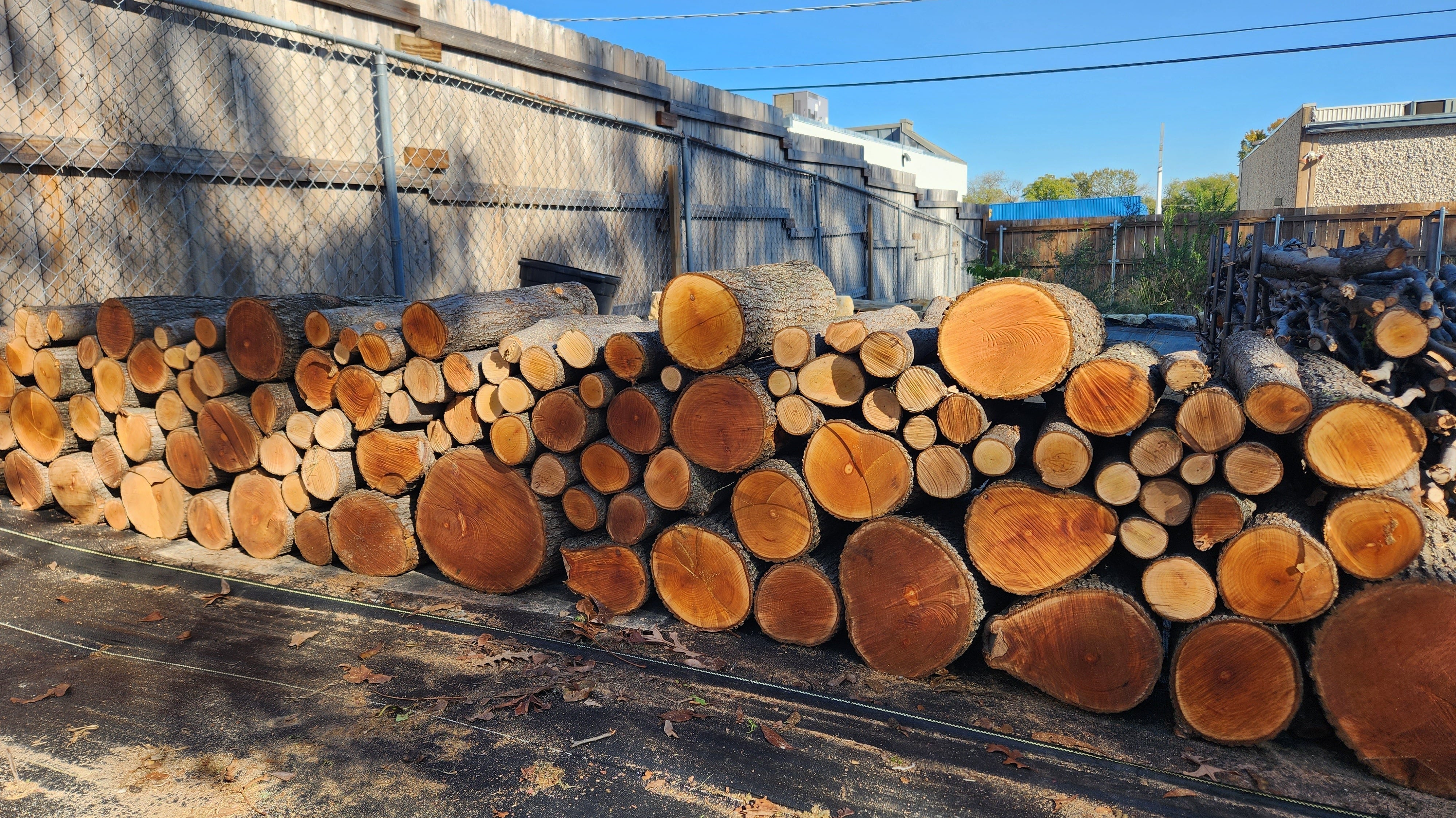 The Best Use for a Bradford Pear...