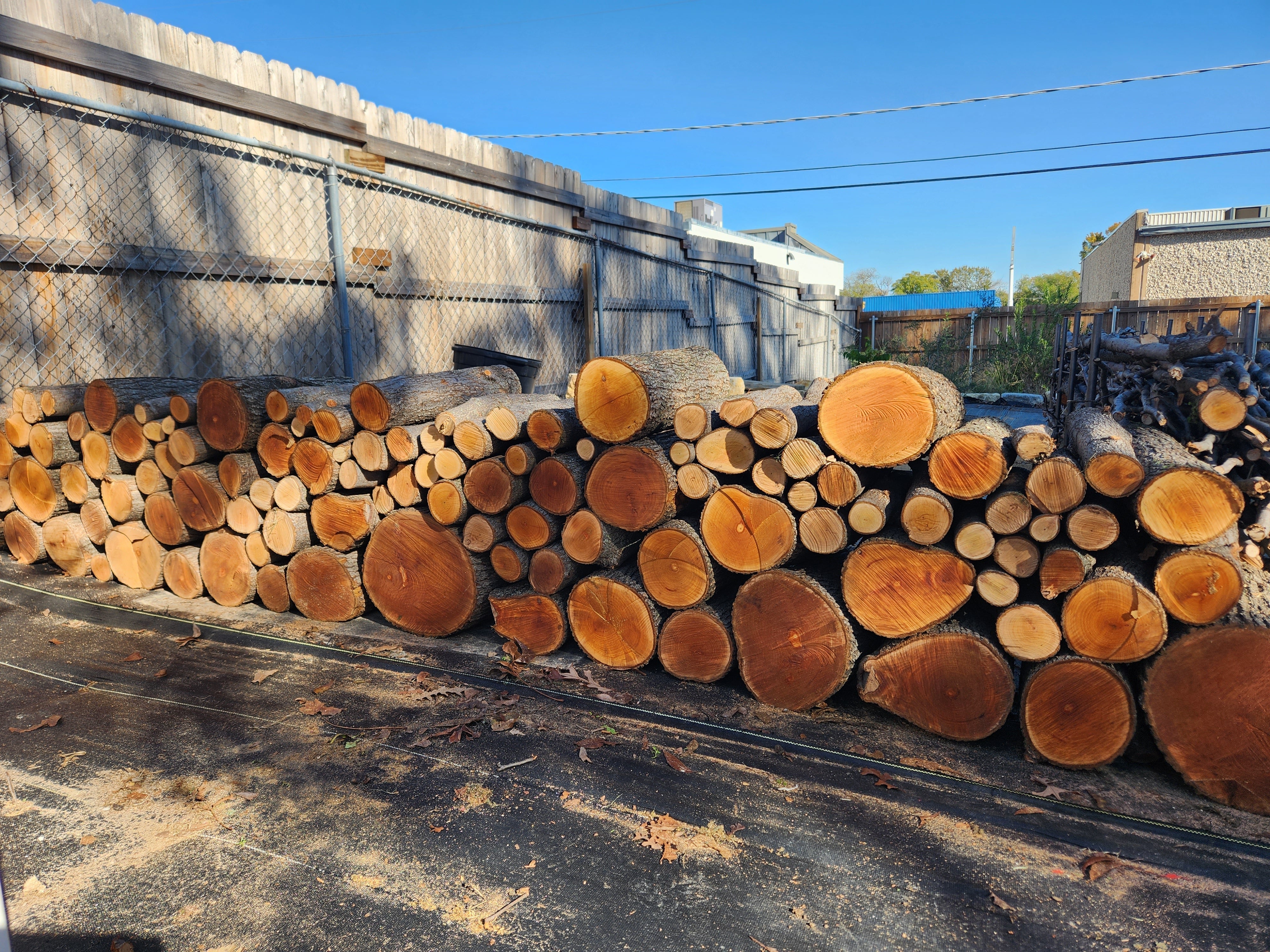 The Best Use for a Bradford Pear...