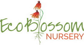 Eco Blossom Nursery e-gift card